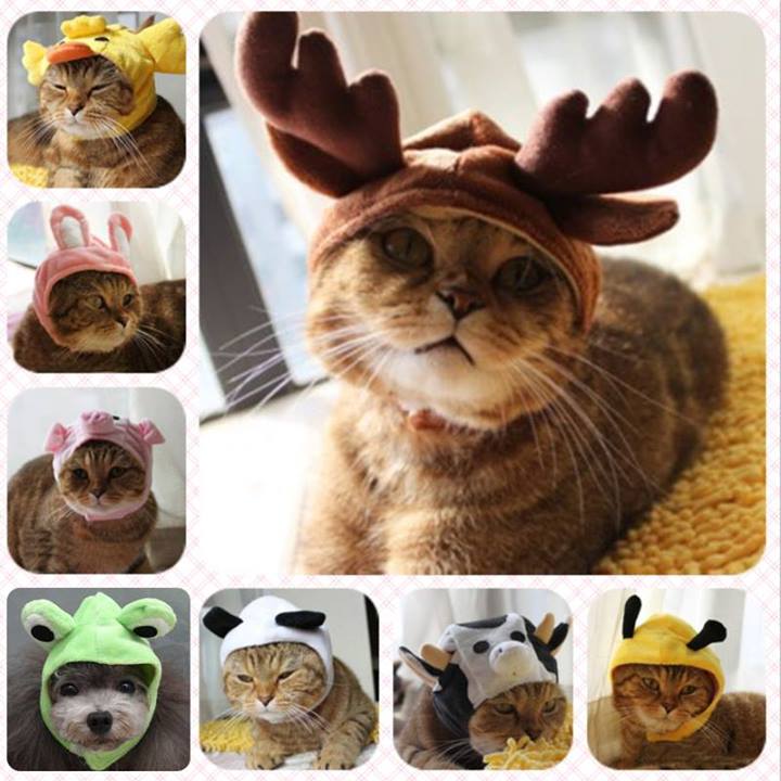 Cat-Hats-For-The-Holidays